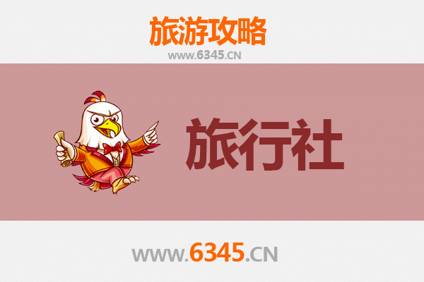 白沙青松乡本地旅行社推荐 | 资深旅游博主私藏攻略