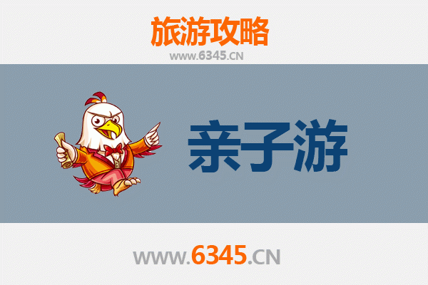 海南白沙青松乡亲子游全攻略：雨林探秘+黎苗文化体验