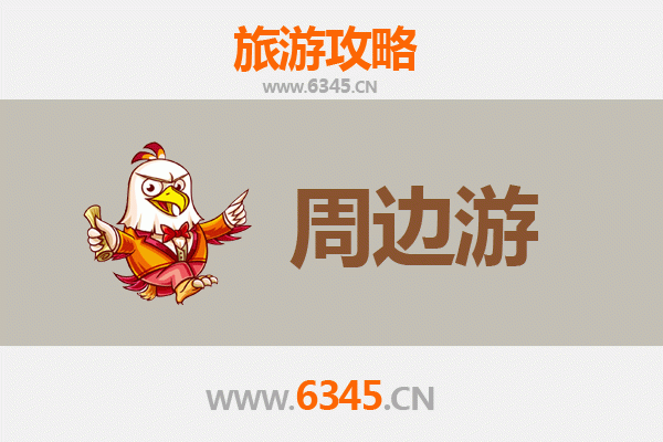 白沙青松乡周边游攻略：探秘黎族文化，邂逅雨林秘境